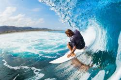 开云体育登录-从郁金香到潘帕斯雄鹰，奥斯梅恩如何从荷兰的战术基石蜕变为2026世界杯的接管者