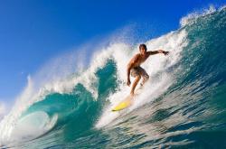 开云体育在线-德布劳内状态火热，南非拿下皇家社会，一场跨越足球与橄榄球的唯一性对话