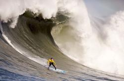 开云APP-蒂亚戈中场魔术师统治全场，挪威硬仗险胜哥伦比亚