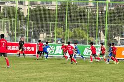 开云体育入口-队员实力逐渐增强，国内职业足球联赛观赏性强的简单介绍