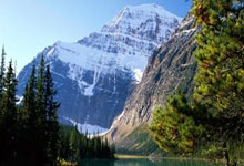 开云体育入口-日本队完胜德国队，张继科点燃赛场的简单介绍