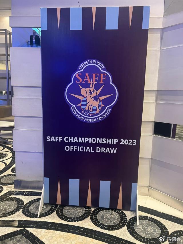 南亚球队庆祝晋级决赛的胜利