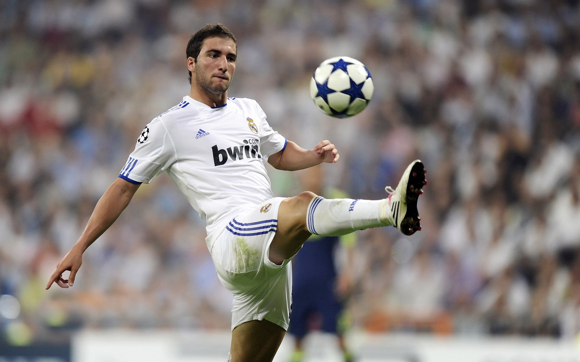 不败神话与致命一击，勒沃库森横扫德国，罗德里点燃赛场